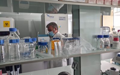 Igen Biolab SLU, subsidiaria de Igen Biolab Group, obtiene el Sello de Empresa Innovadora otorgado por el Ministerio de Economía