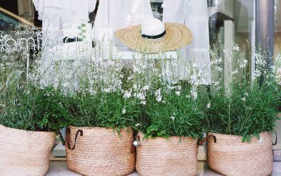 Tres hábitos naturales para cuidar tu pelo, piel y uñas en otoño, según COFENAT