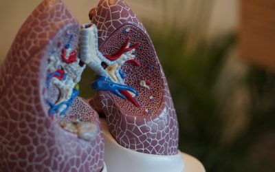 La microbiota o ‘segundo cerebro’, en el punto de mira científico para lograr un mejor pronóstico del cáncer de pulmón