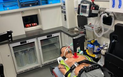 Madrid acogerá la Cumbre internacional TransVision con un enfoque en la biostasis humana, que permitirá la criopreservación de pacientes para su futura reanimación