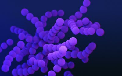 Dr. Luis Usan (IGEN): “La microbiota es clave para la salud de los recién nacidos, especialmente de los prematuros”