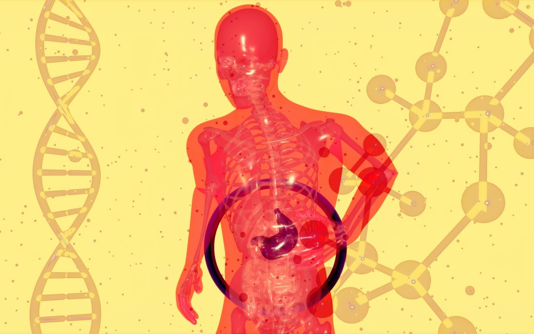 Dr. Luis Usan (IGEN): “Los postbióticos pueden ser una solución cercana para prevenir o tratar enfermedades”