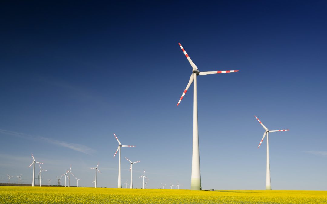 Bornay defiende la inversión en transición energética por parte de las empresas