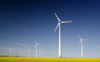 Bornay defiende la inversión en transición energética por parte de las empresas