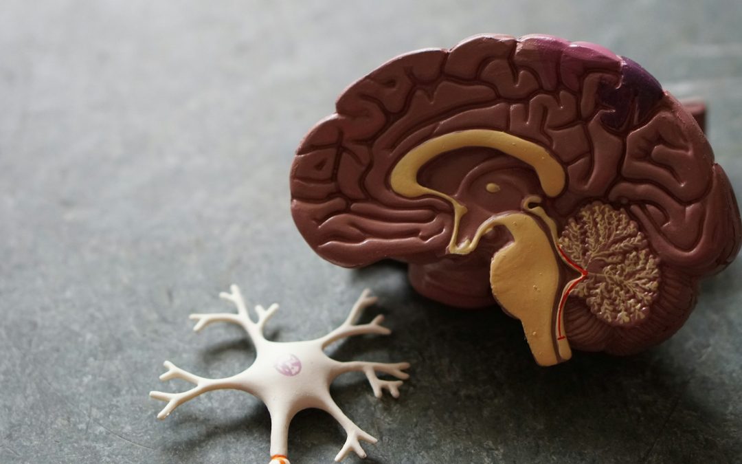 Investigan si un tratamiento para la Disfunción Eréctil puede reducir el riesgo de Alzheimer