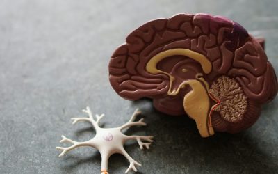 Investigan si un tratamiento para la Disfunción Eréctil puede reducir el riesgo de Alzheimer