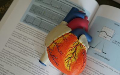Doctor Peinado: “La testosterona no aumenta el riesgo de ataque cardíaco o accidente cerebrovascular”