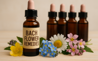 La vuelta a la rutina sin apatía: el papel de las Flores de Bach en la adaptación postvacacional