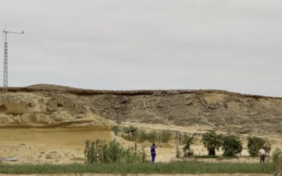 Una zona de cultivo en mitad del desierto es posible gracias al viento